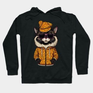 Paws & Fashion: Cat Rocking Hat and Sunglasses Hoodie
